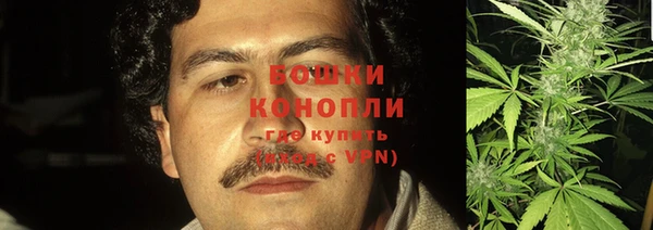 ПСИЛОЦИБИНОВЫЕ ГРИБЫ Аркадак