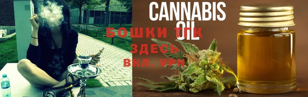 прущие крисы Арсеньев