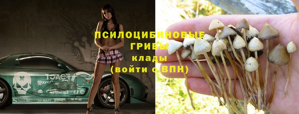 прущие крисы Арсеньев