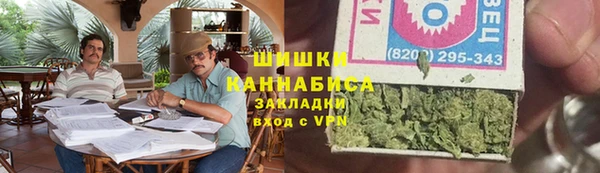 ПСИЛОЦИБИНОВЫЕ ГРИБЫ Аркадак