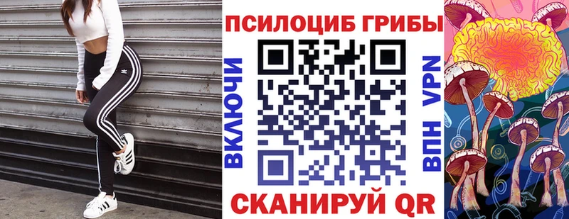 купить наркотик  блэк спрут ссылка  Псилоцибиновые грибы Magic Shrooms  Нововоронеж 