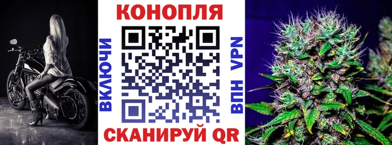 Бошки марихуана THC 21%  цена   Нововоронеж 